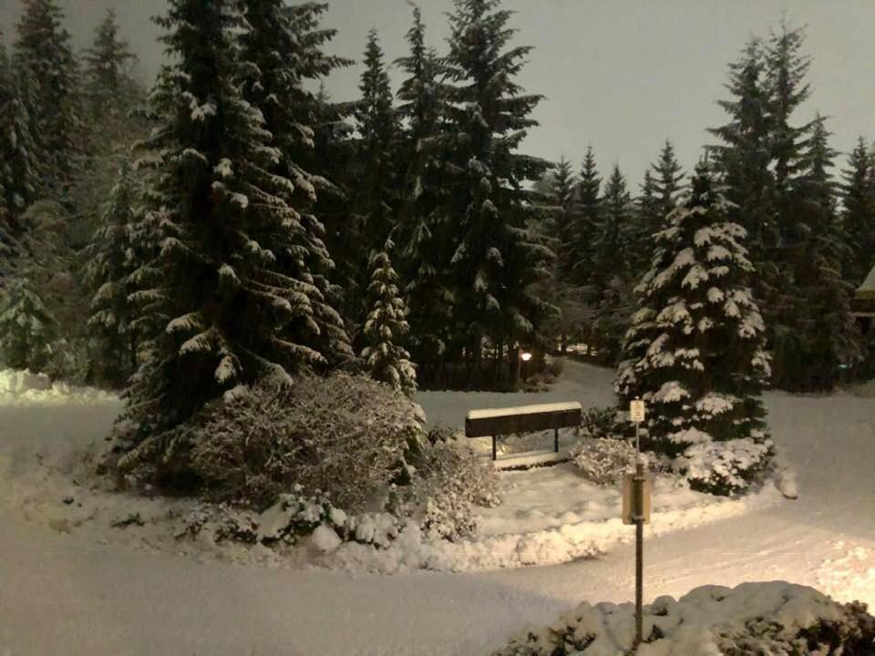 Powderhorn By Whistler Blackcomb Vacation Rentals Екстер'єр фото